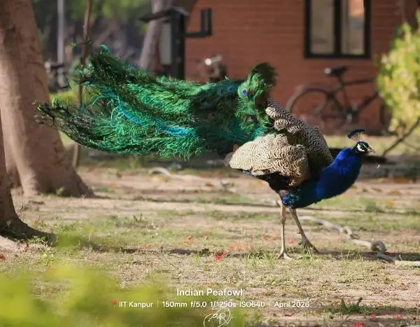 Bird Photo 3