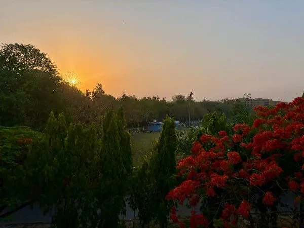 IIT Kanpur Campus Photo 3