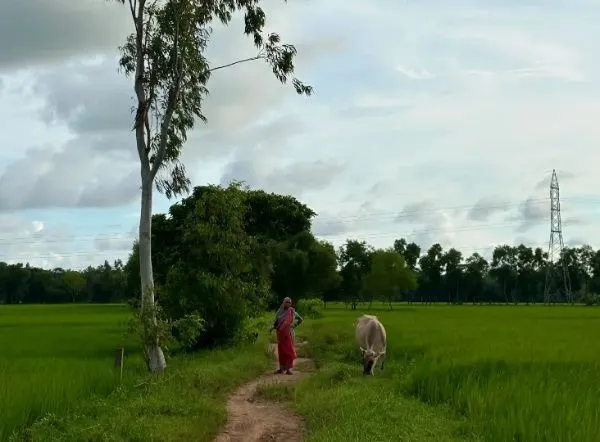 Village Photo 2